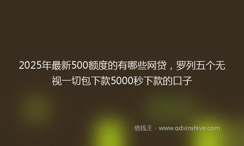2025年最新500额度的有哪些网贷，罗列五个无视一切包下款5000秒下款的口子