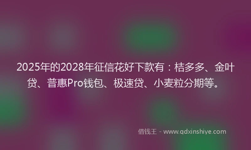2025年的2028年征信花好下款有：桔多多、金叶贷、普惠Pro钱包、极速贷、小麦粒分期等。