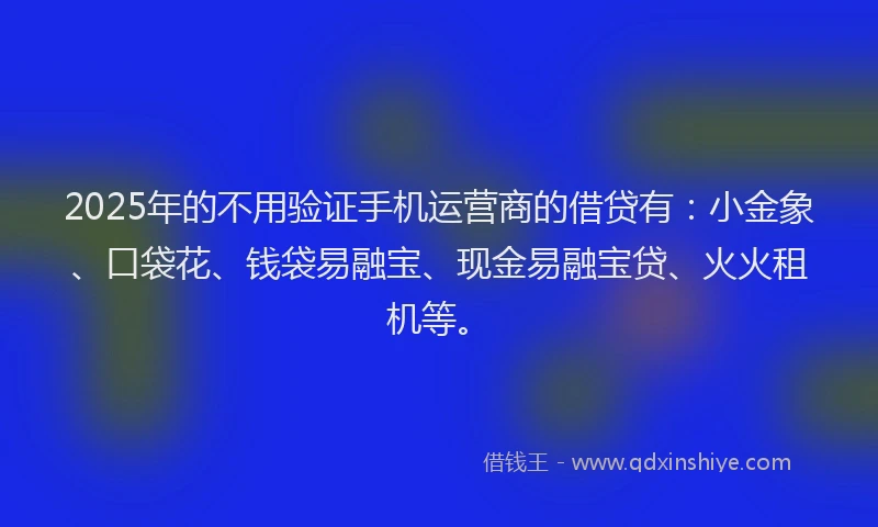 2025年的不用验证手机运营商的借贷有：小金象、口袋花、钱袋易融宝、现金易融宝贷、火火租机等。