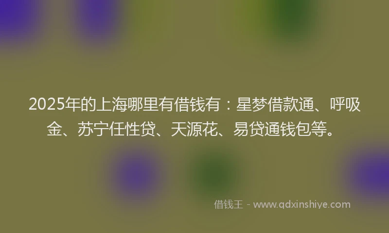 2025年的上海哪里有借钱有：星梦借款通、呼吸金、苏宁任性贷、天源花、易贷通钱包等。