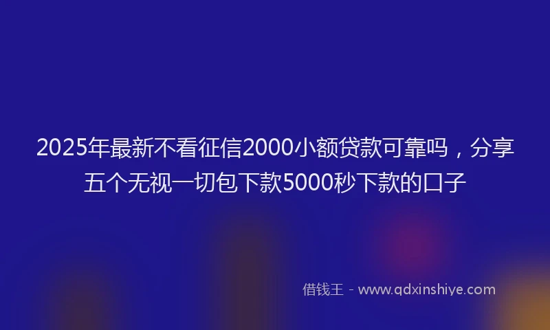 2025年最新不看征信2000小额贷款可靠吗，分享五个无视一切包下款5000秒下款的口子