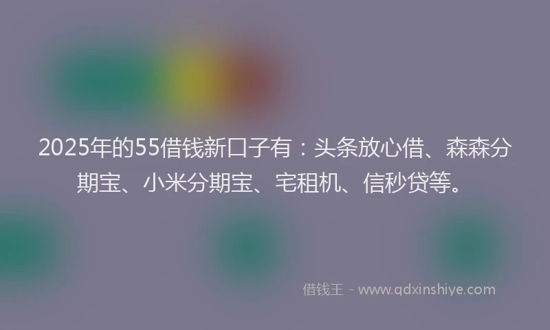2025年的55借钱新口子有：头条放心借、森森分期宝、小米分期宝、宅租机、信秒贷等。