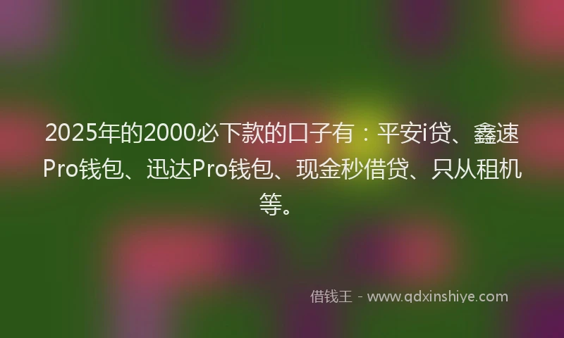 2025年的2000必下款的口子有：平安i贷、鑫速Pro钱包、迅达Pro钱包、现金秒借贷、只从租机等。