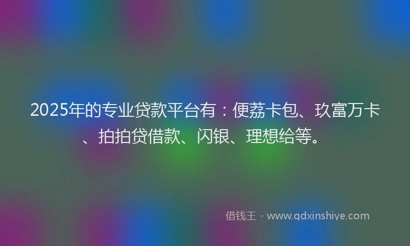 2025年的专业贷款平台有：便荔卡包、玖富万卡、拍拍贷借款、闪银、理想给等。