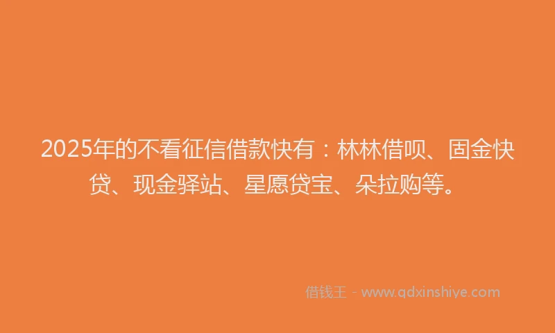2025年的不看征信借款快有：林林借呗、固金快贷、现金驿站、星愿贷宝、朵拉购等。