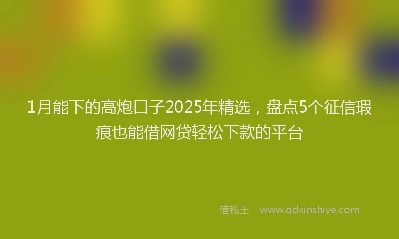 1月能下的高炮口子2025年精选，盘点5个征信瑕疵也能借网贷轻松下款的平台