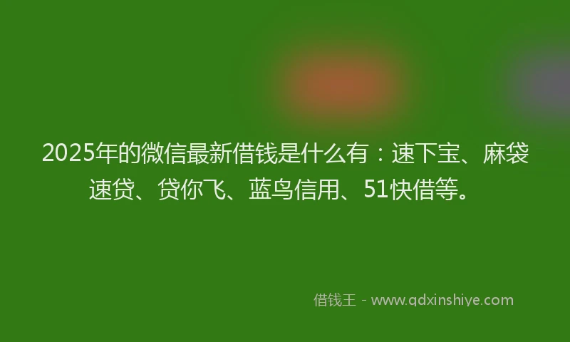2025年的微信最新借钱是什么有：速下宝、麻袋速贷、贷你飞、蓝鸟信用、51快借等。