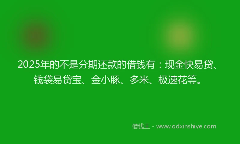 2025年的不是分期还款的借钱有：现金快易贷、钱袋易贷宝、金小豚、多米、极速花等。