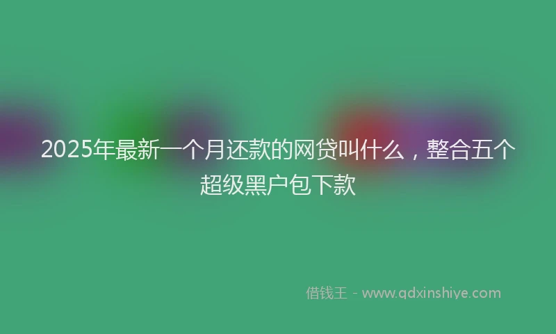 2025年最新一个月还款的网贷叫什么，整合五个超级黑户包下款