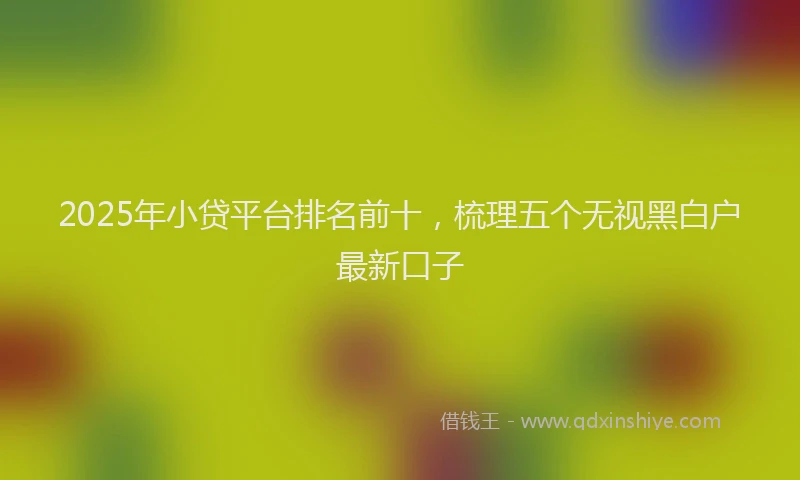 2025年小贷平台排名前十，梳理五个无视黑白户最新口子
