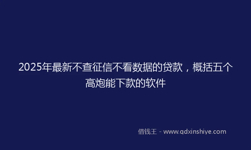 2025年最新不查征信不看数据的贷款，概括五个高炮能下款的软件