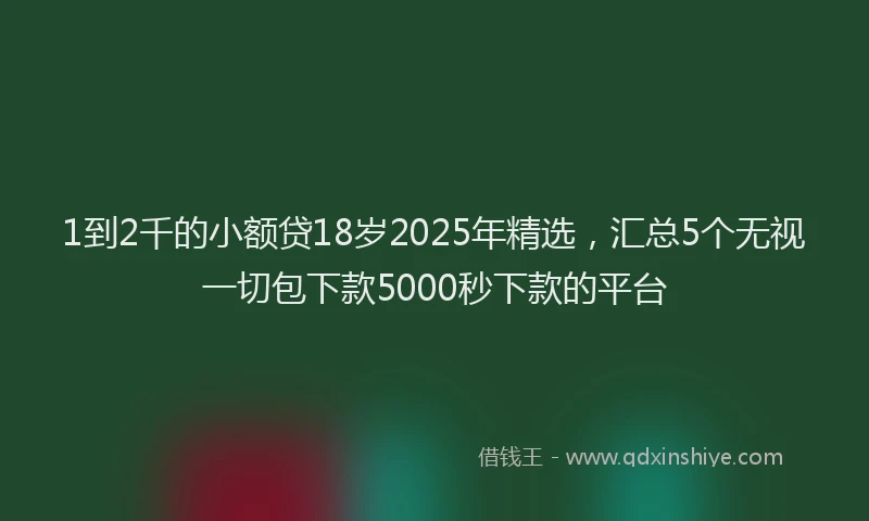 1到2千的小额贷18岁2025年精选，汇总5个无视一切包下款5000秒下款的平台