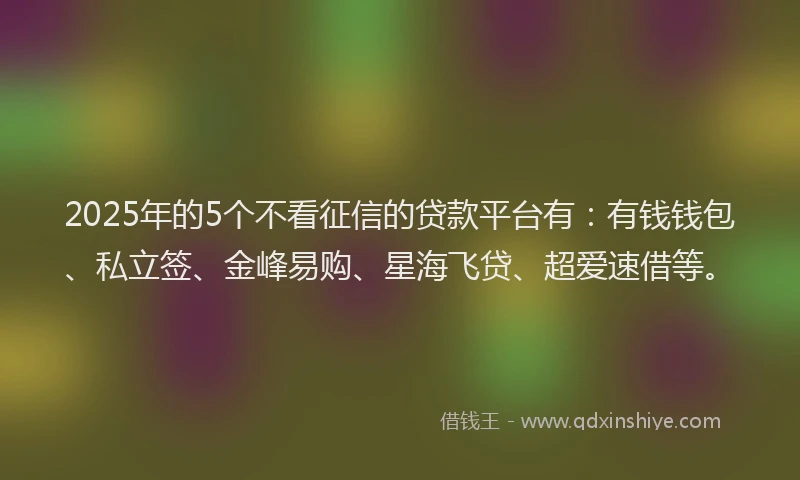 2025年的5个不看征信的贷款平台有：有钱钱包、私立签、金峰易购、星海飞贷、超爱速借等。