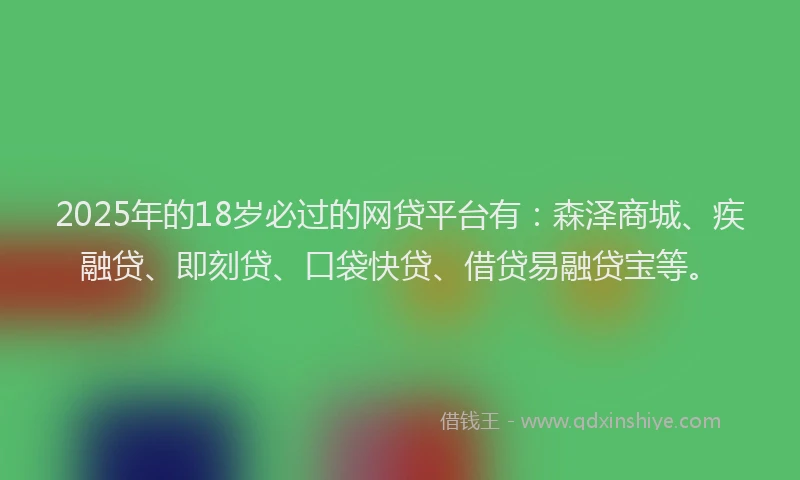 2025年的18岁必过的网贷平台有：森泽商城、疾融贷、即刻贷、口袋快贷、借贷易融贷宝等。