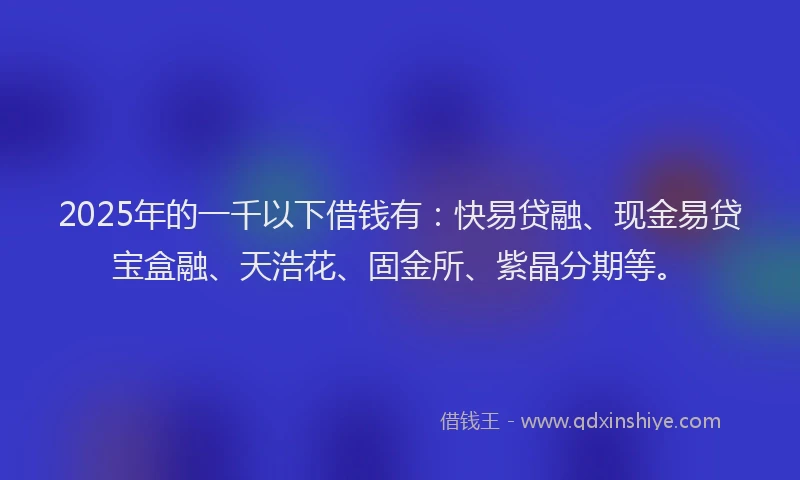 2025年的一千以下借钱有：快易贷融、现金易贷宝盒融、天浩花、固金所、紫晶分期等。