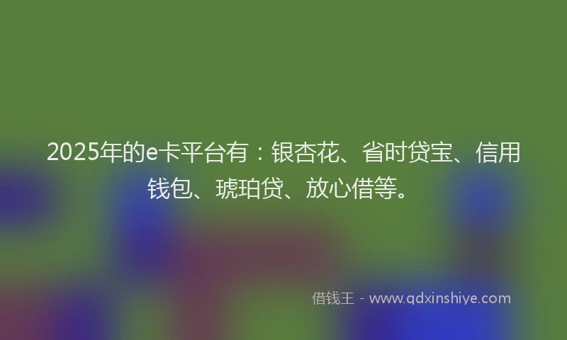 2025年的e卡平台有:银杏花、省时贷宝、信用钱包、琥珀贷、放心借等。