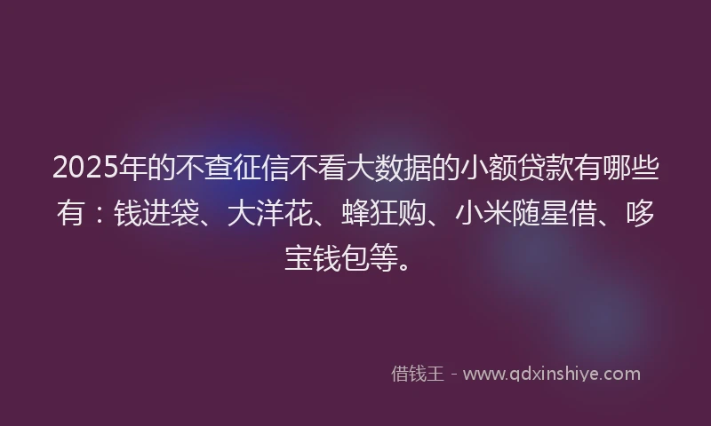 2025年的不查征信不看大数据的小额贷款有哪些有：钱进袋、大洋花、蜂狂购、小米随星借、哆宝钱包等。
