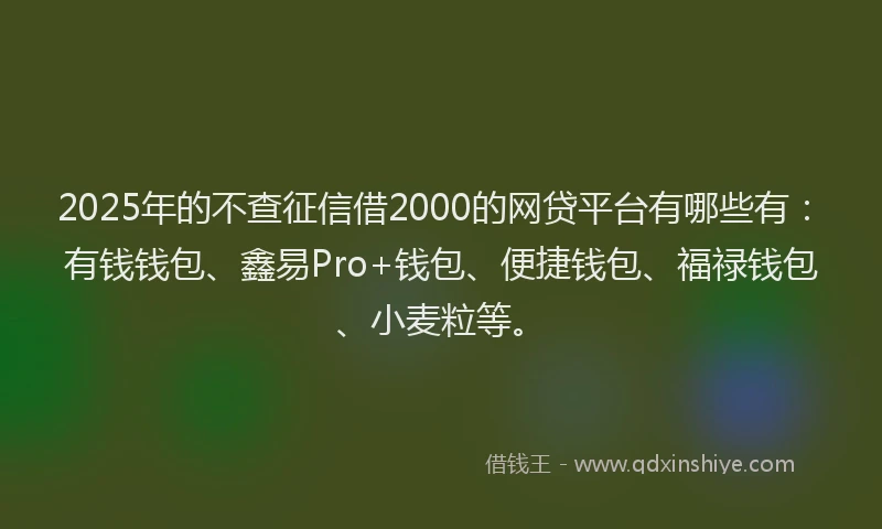 2025年的不查征信借2000的网贷平台有哪些有：有钱钱包、鑫易Pro+钱包、便捷钱包、福禄钱包、小麦粒等。