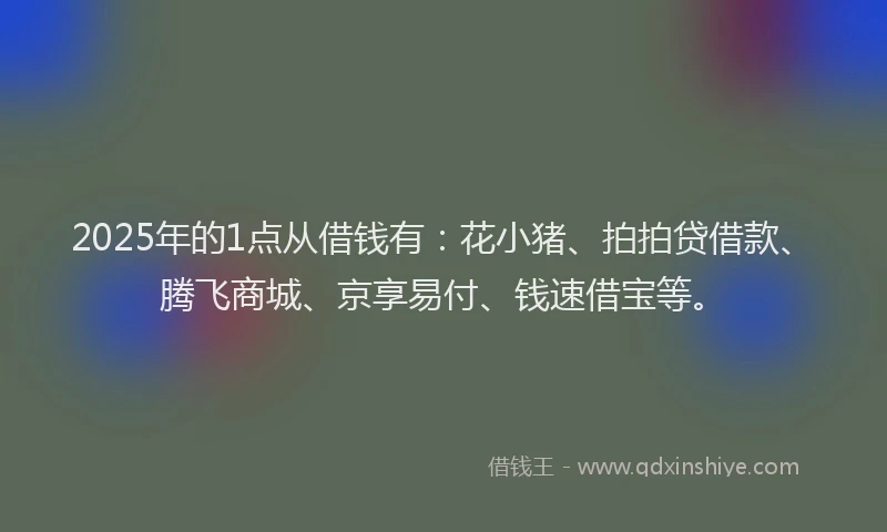 2025年的1点从借钱有：花小猪、拍拍贷借款、腾飞商城、京享易付、钱速借宝等。