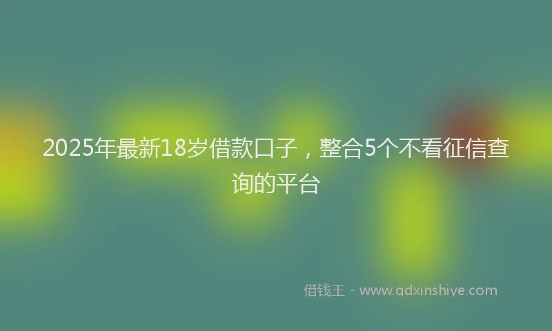 2025年最新18岁借款口子，整合5个不看征信查询的平台