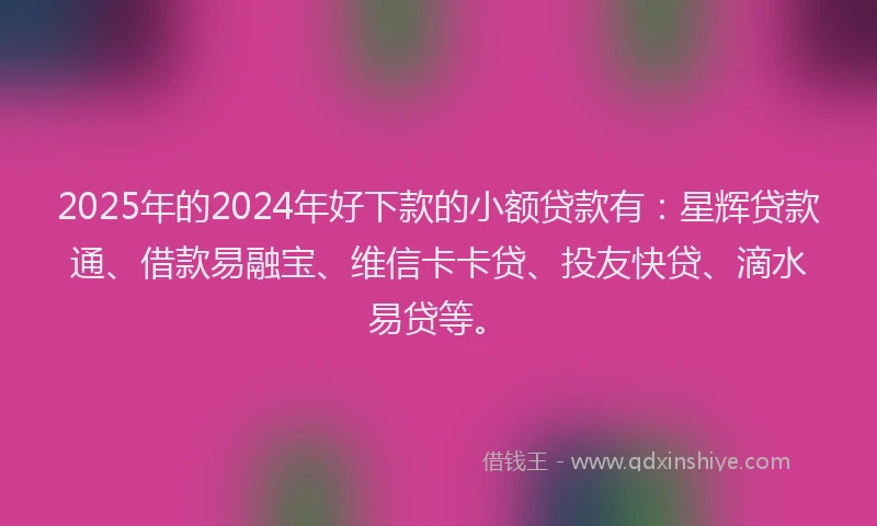 2025年的2024年好下款的小额贷款有：星辉贷款通、借款易融宝、维信卡卡贷、投友快贷、滴水易贷等。