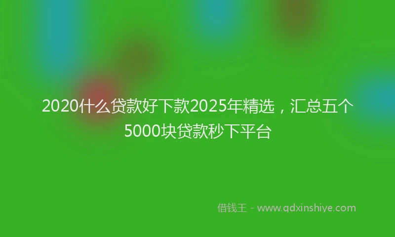 2020什么贷款好下款2025年精选，汇总五个5000块贷款秒下平台