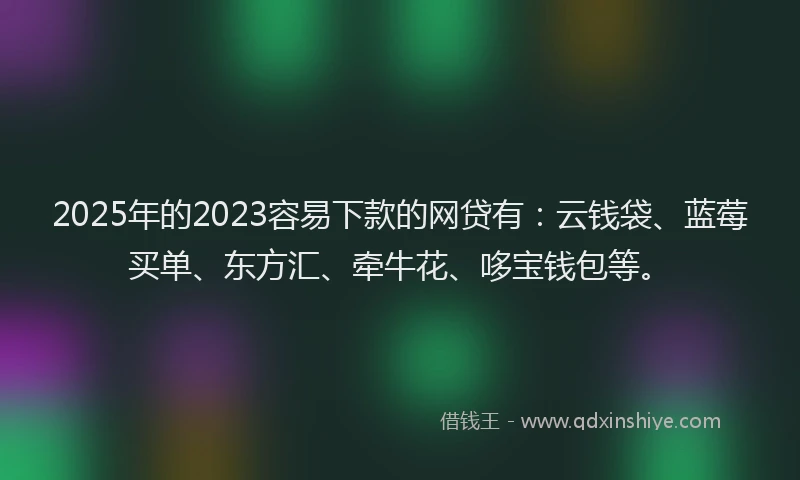 2025年的2023容易下款的网贷有：云钱袋、蓝莓买单、东方汇、牵牛花、哆宝钱包等。