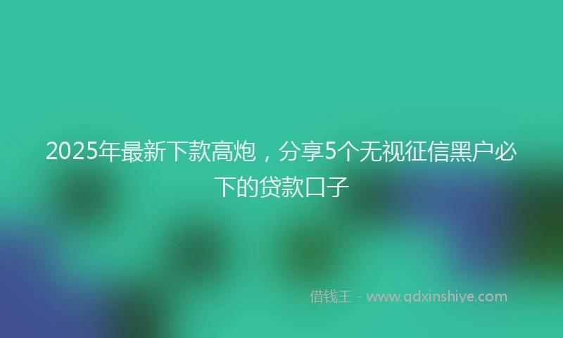 2025年最新下款高炮，分享5个无视征信黑户必下的贷款口子