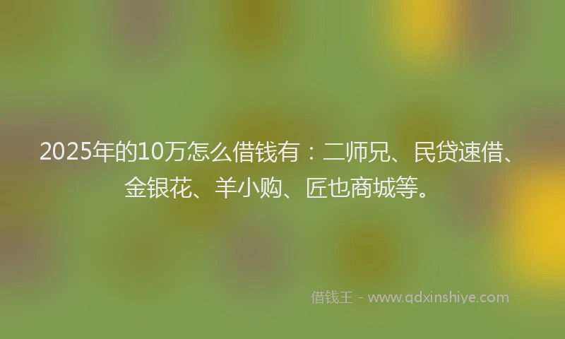 2025年的10万怎么借钱有：二师兄、民贷速借、金银花、羊小购、匠也商城等。