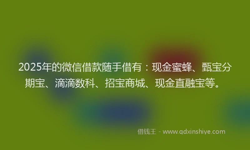 2025年的微信借款随手借有：现金蜜蜂、甄宝分期宝、滴滴数科、招宝商城、现金直融宝等。