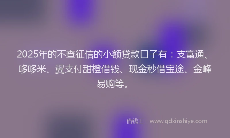 2025年的不查征信的小额贷款口子有：支富通、哆哆米、翼支付甜橙借钱、现金秒借宝途、金峰易购等。