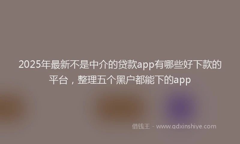 2025年最新不是中介的贷款app有哪些好下款的平台，整理五个黑户都能下的app