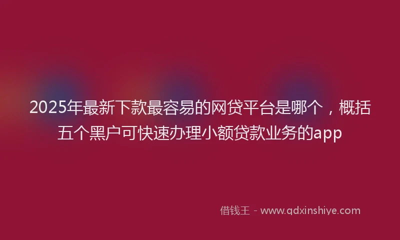2025年最新下款最容易的网贷平台是哪个，概括五个黑户可快速办理小额贷款业务的app