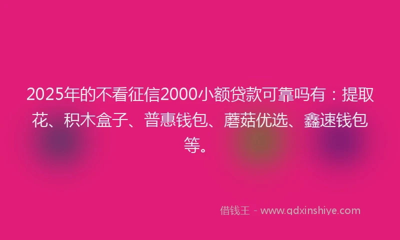 2025年的不看征信2000小额贷款可靠吗有：提取花、积木盒子、普惠钱包、蘑菇优选、鑫速钱包等。