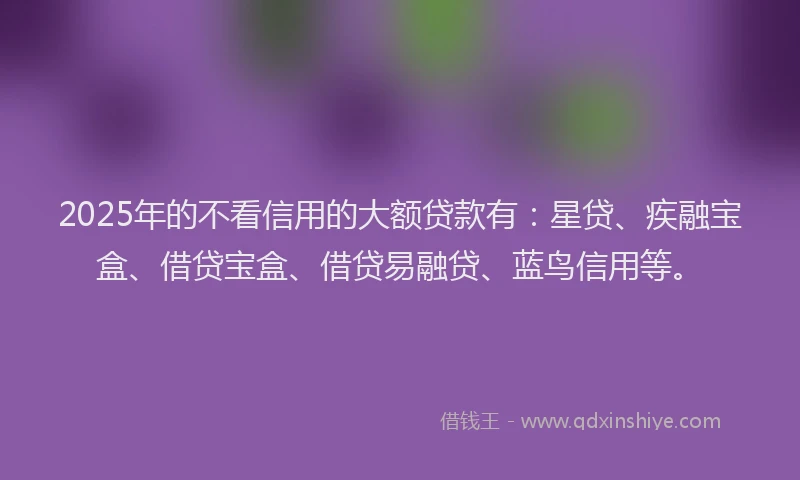 2025年的不看信用的大额贷款有：星贷、疾融宝盒、借贷宝盒、借贷易融贷、蓝鸟信用等。