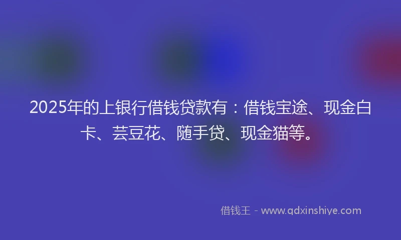2025年的上银行借钱贷款有：借钱宝途、现金白卡、芸豆花、随手贷、现金猫等。