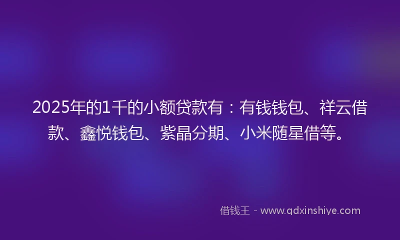 2025年的1千的小额贷款有：有钱钱包、祥云借款、鑫悦钱包、紫晶分期、小米随星借等。
