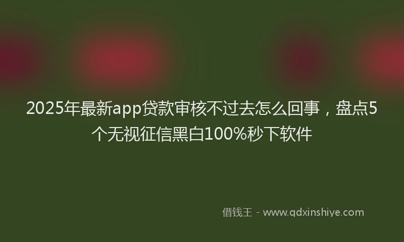 2025年最新app贷款审核不过去怎么回事，盘点5个无视征信黑白100%秒下软件