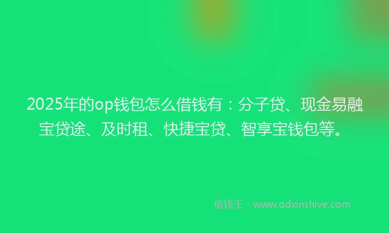 2025年的op钱包怎么借钱有：分子贷、现金易融宝贷途、及时租、快捷宝贷、智享宝钱包等。