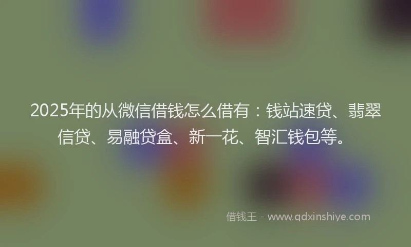 2025年的从微信借钱怎么借有：钱站速贷、翡翠信贷、易融贷盒、新一花、智汇钱包等。