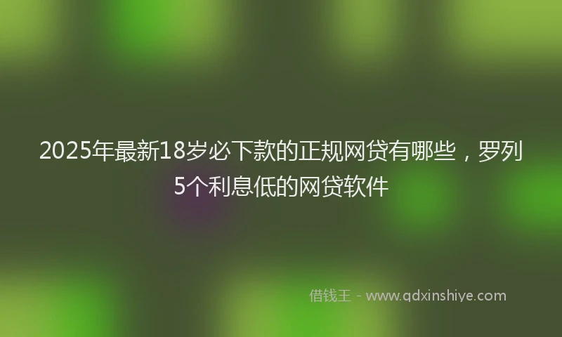 2025年最新18岁必下款的正规网贷有哪些，罗列5个利息低的网贷软件
