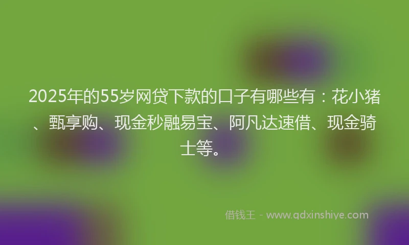 2025年的55岁网贷下款的口子有哪些有：花小猪、甄享购、现金秒融易宝、阿凡达速借、现金骑士等。