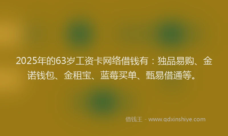 2025年的63岁工资卡网络借钱有：独品易购、金诺钱包、金租宝、蓝莓买单、甄易借通等。