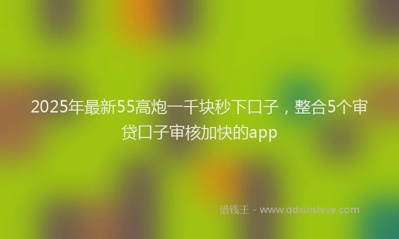 2025年最新55高炮一千块秒下口子，整合5个审贷口子审核加快的app