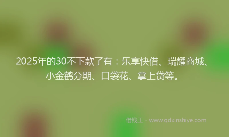2025年的30不下款了有：乐享快借、瑞耀商城、小金鹤分期、口袋花、掌上贷等。