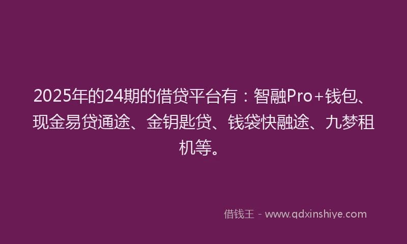 2025年的24期的借贷平台有：智融Pro+钱包、现金易贷通途、金钥匙贷、钱袋快融途、九梦租机等。