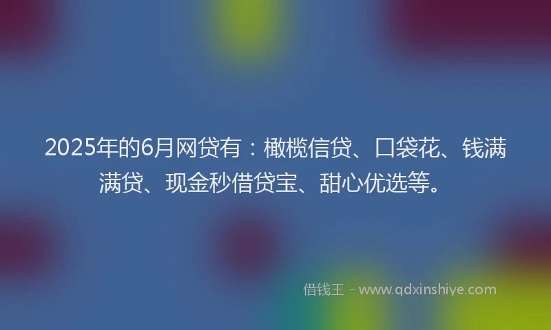 2025年的6月网贷有：橄榄信贷、口袋花、钱满满贷、现金秒借贷宝、甜心优选等。