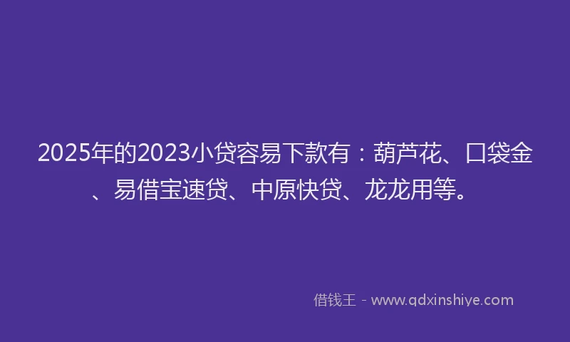 2025年的2023小贷容易下款有：葫芦花、口袋金、易借宝速贷、中原快贷、龙龙用等。