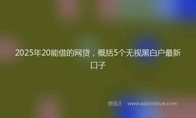 2025年20能借的网贷，概括5个无视黑白户最新口子