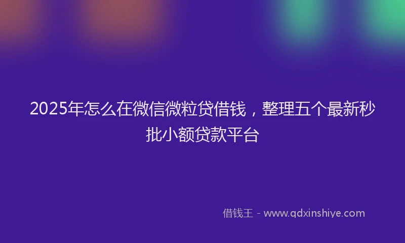 2025年怎么在微信微粒贷借钱，整理五个最新秒批小额贷款平台